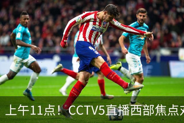 上午11点！CCTV5直播西部焦点对决，2连胜PK3连胜，杨瀚森或迎“生死战”