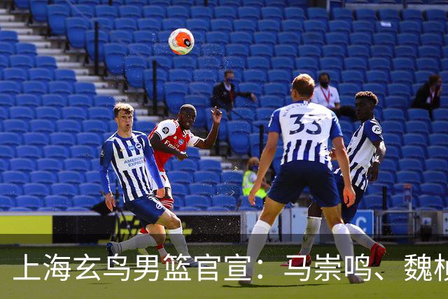 上海玄鸟男篮官宣：马崇鸣、魏桢、刘俊豪加盟上海玄鸟男篮