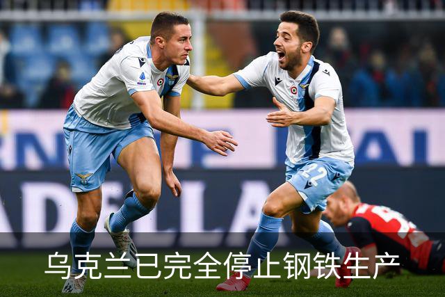 乌克兰已完全停止钢铁生产