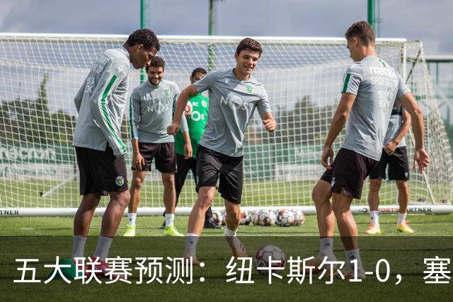 五大联赛预测：纽卡斯尔1-0，塞维利亚1-1，亚特兰大2-1，都灵1-1