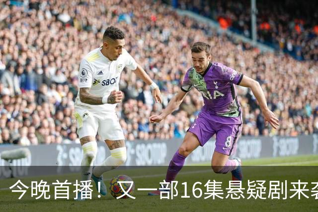 今晚首播！又一部16集悬疑剧来袭！刘诗诗李乃文主演，有爆款潜质