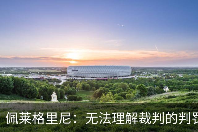 佩莱格里尼：无法理解裁判的判罚；红牌让比赛失去平衡