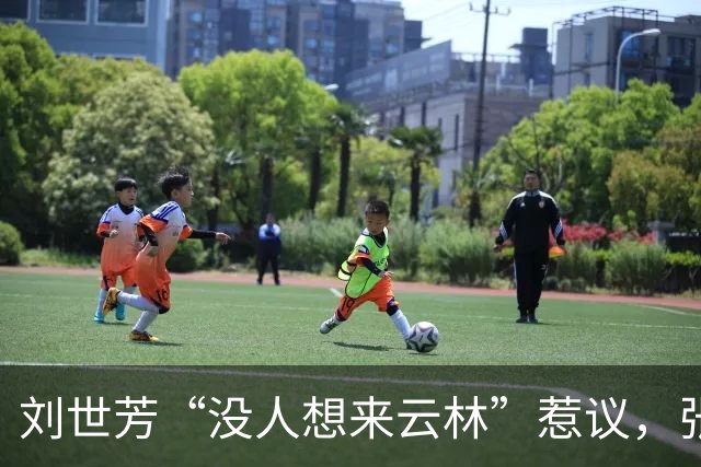 刘世芳“没人想来云林”惹议，张丽善批：绿营家族政治不比蓝营少