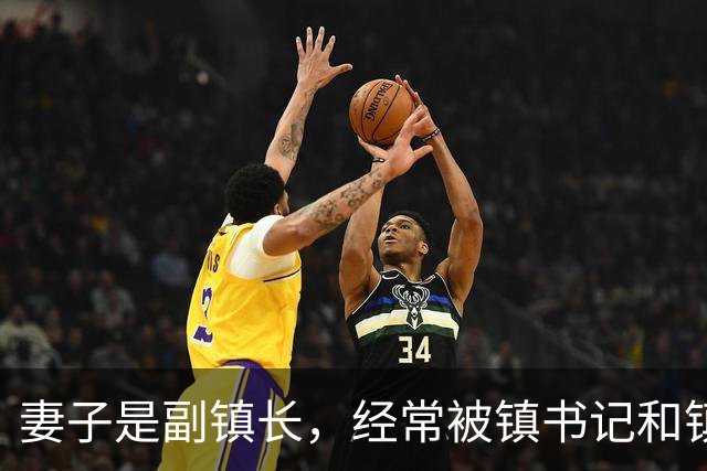 妻子是副镇长，经常被镇书记和镇长压制，有一天我调任宣委书记