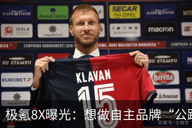极氪8X曝光：想做自主品牌“公路之王”，大五座SUV凭什么打动消费者？