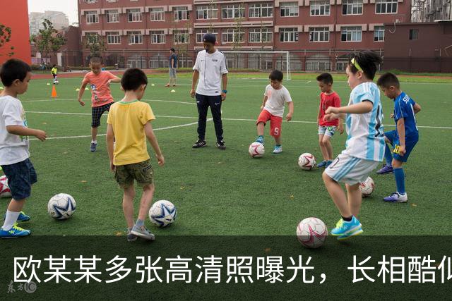 欧某某多张高清照曝光，长相酷似孙小果，一看就是狠角色，空姐被吓跪道歉