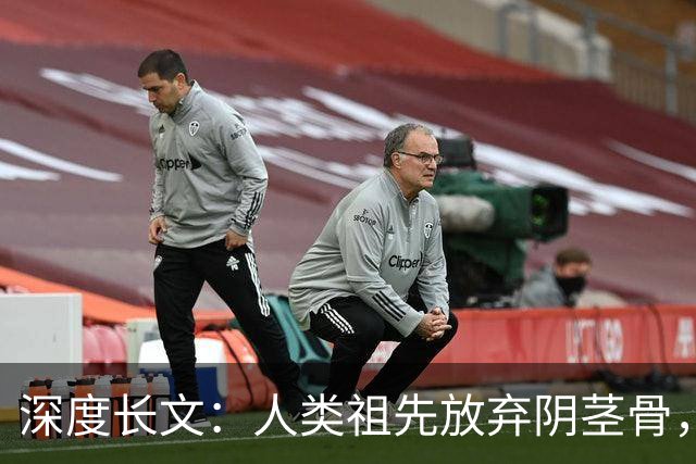 深度长文：人类祖先放弃阴茎骨，换来了无法伪装的亲密！