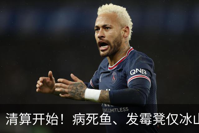 清算开始！病死鱼、发霉凳仅冰山一角，罗永浩直播间更多猛料被扒