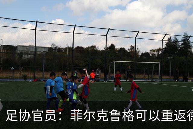 足协官员：菲尔克鲁格可以重返德国队，但不能视为长期方案