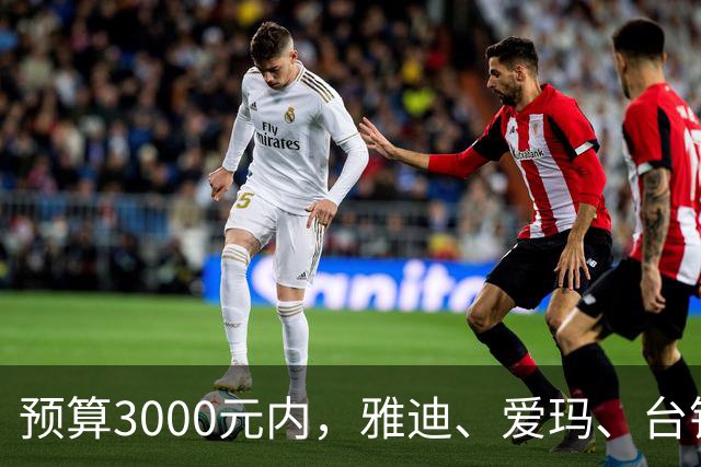 预算3000元内，雅迪、爱玛、台铃、九号、小牛、金箭内行这么选？
