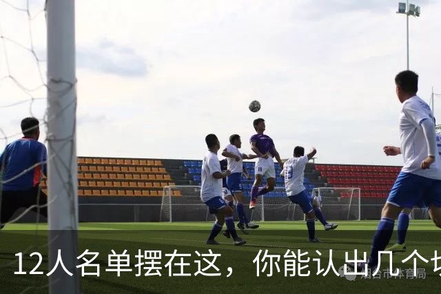 12人名单摆在这，你能认出几个切尔西埃弗顿双料旧将？