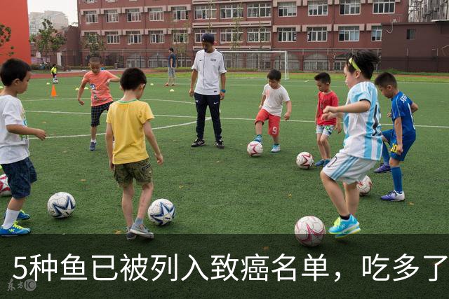 5种鱼已被列入致癌名单，吃多了会致癌？医生劝告：尽量少吃